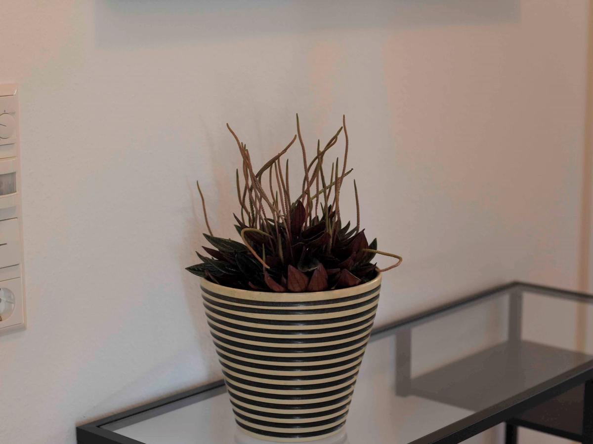 Ferienwohnung Im Weiler Winterlingen エクステリア 写真